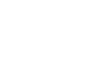 White VMG project marketing logo